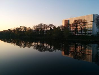 Reflection of trees in water