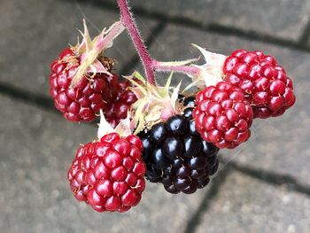 Close-up of strawberries