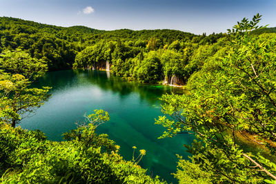 Scenic view of lake in forest against clear sky