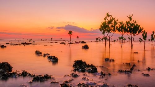 Scenic view of sea against sky during sunset