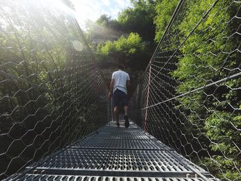 Rear view of young man walking on footbridge in forest