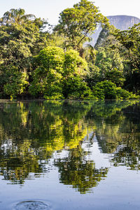 Scenic view of lake by trees against sky