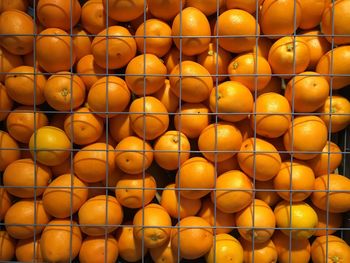 Close-up of oranges on display