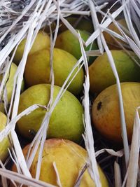 Close-up of fruits