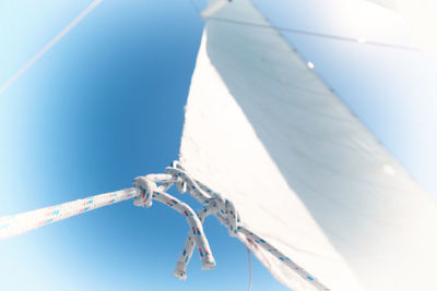 Low angle view of insect against blue sky