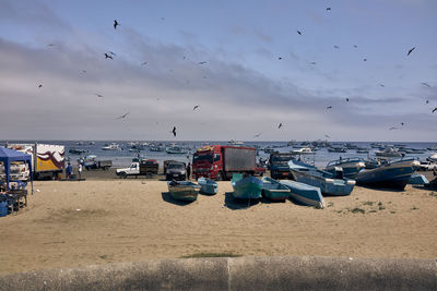 View of birds flying over beach against sky