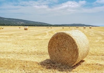 Hay bales on field against sky