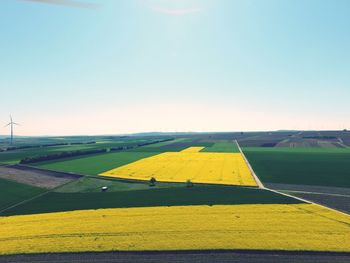 Scenic view of field against clear sky