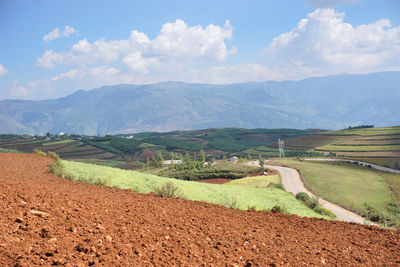 Scenic view of agricultural field against sky