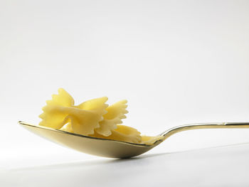 Close-up of raw pasta on spoon against white background