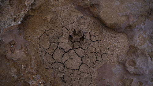 Full frame shot of cracked land