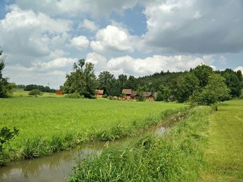 Scenic view of grassy field against cloudy sky