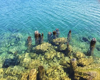 High angle view of old dock remains in lake