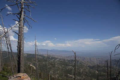 Scenic view of landscape against blue sky