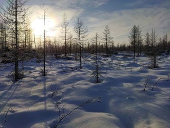 Scenic view of snow covered field against sky