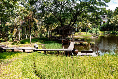 Scenic view of lake against trees