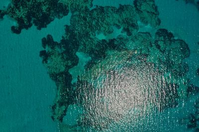 High angle view of rocks in sea