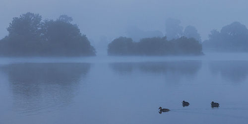 Scenic view of lake