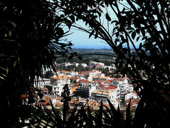 High angle view of trees and buildings in city