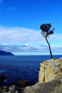 Scenic view of sea against blue sky