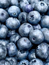 Full frame shot of blueberries