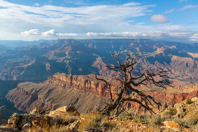 View of trees on landscape against cloudy sky