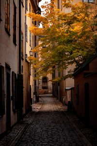 Narrow alley amidst buildings in city