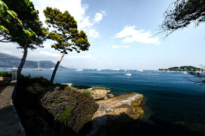 Scenic view of sea against sky