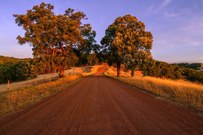 Road amidst trees against sky during autumn