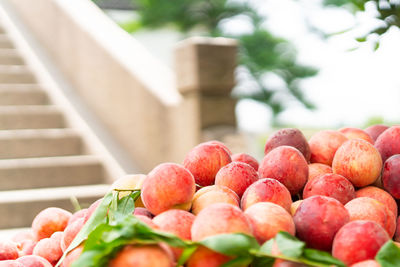 Close-up of apples in container