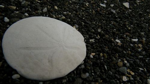 Close-up of pebbles