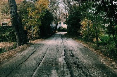 Road amidst trees in forest