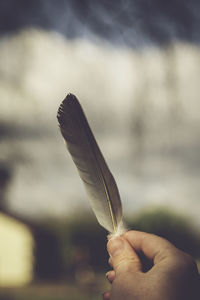 Close-up of hand holding leaf