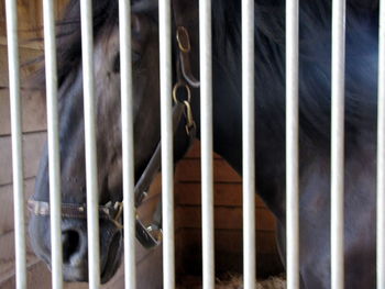 Full frame shot of guitar