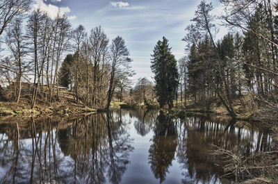 Reflection of trees in lake against sky