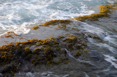 High angle view of rocks in sea