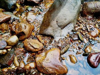 High angle view of pebbles on rock