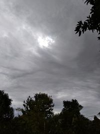 Low angle view of silhouette trees against sky