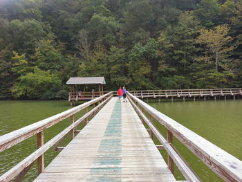 Bridge over river with trees in background