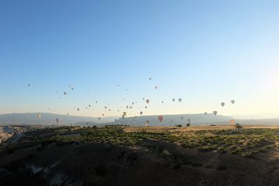 Flock of birds flying over land against clear blue sky