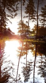 Reflection of trees in lake against sky