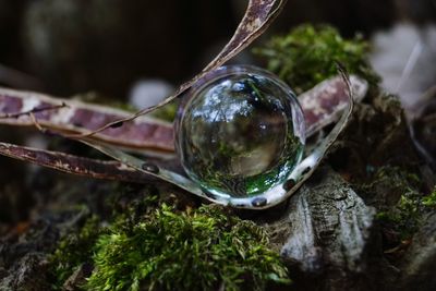 Close-up of water drop on rock