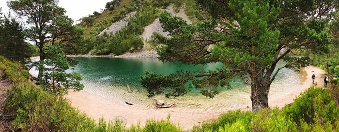 View of trees on landscape against mountain
