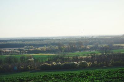 Scenic view of agricultural field against clear sky