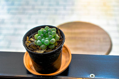High angle view of vegetables in bowl on table