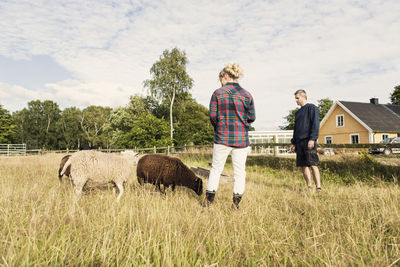 Man and woman looking at sheep while standing on grassy field in farm