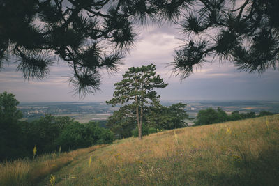 Scenic view of landscape against cloudy sky