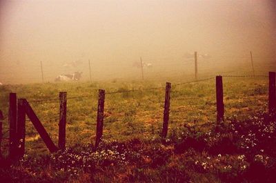 Fence on field