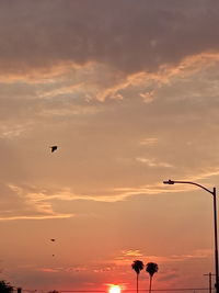 Silhouette birds flying against sky during sunset