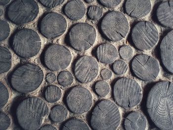 Full frame shot of tree stumps